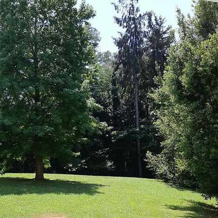 Appartement Au Calme Proximite Centre Байонна Екстер'єр фото